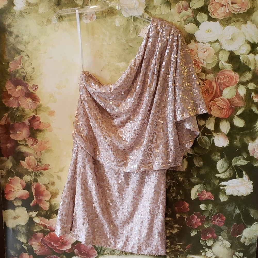 Jessica Simpson Sz 10 dress